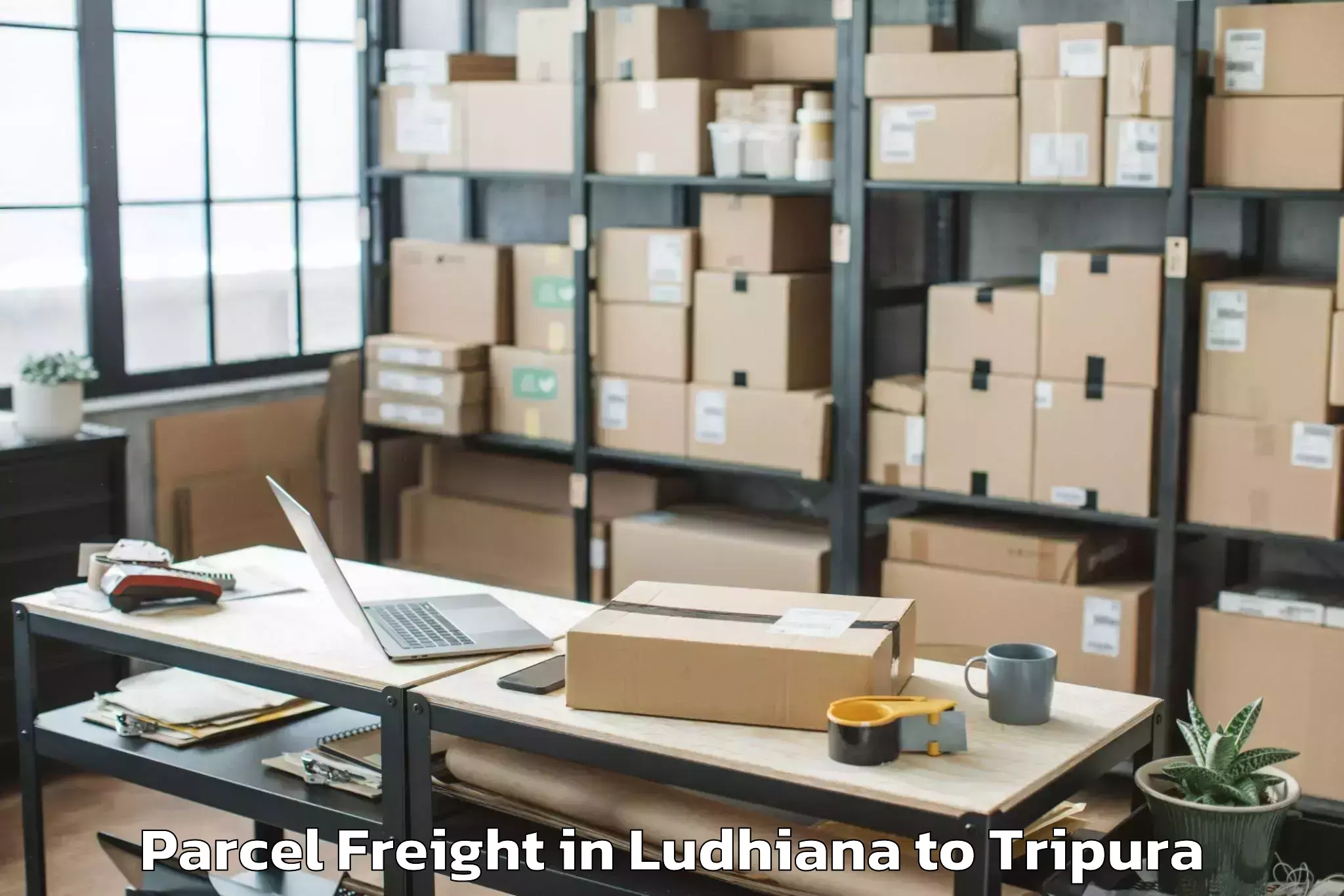 Comprehensive Ludhiana to Tripura University Agartala Parcel Freight